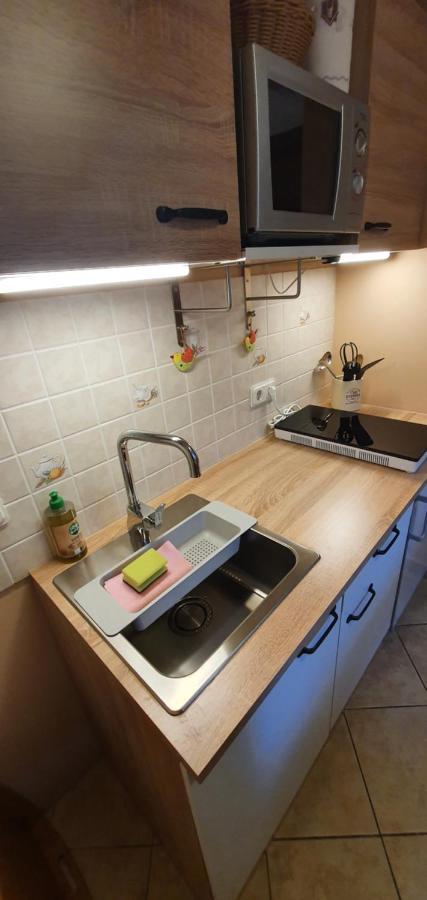 Ferienwohnung Zur Ellernmuehle Bad Suderode Exterior photo
