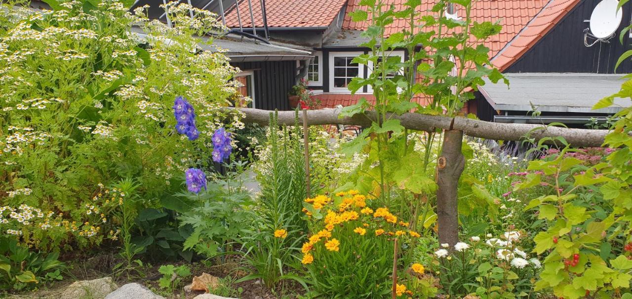 Ferienwohnung Zur Ellernmuehle Bad Suderode Exterior photo
